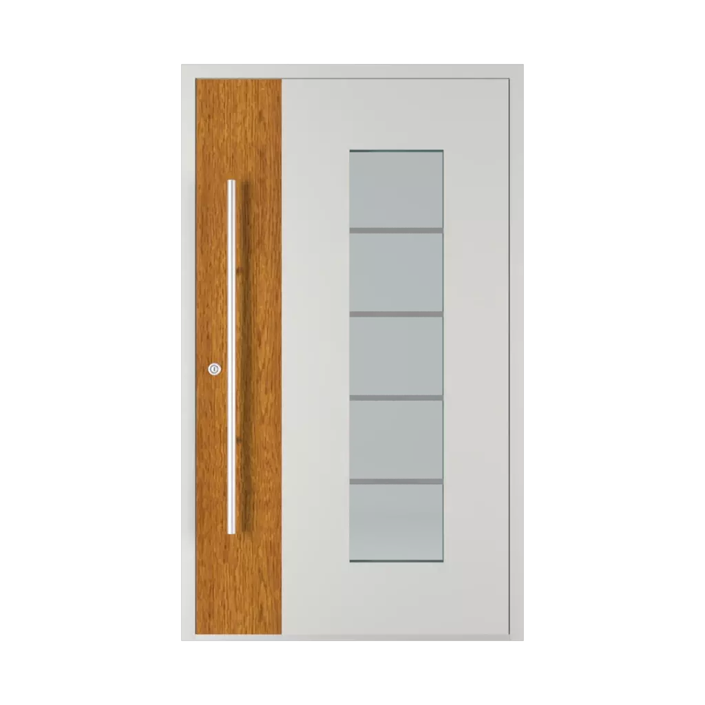 Perfect door Door image