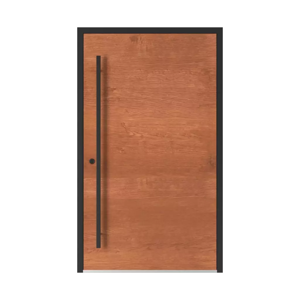 Perfect door Door image