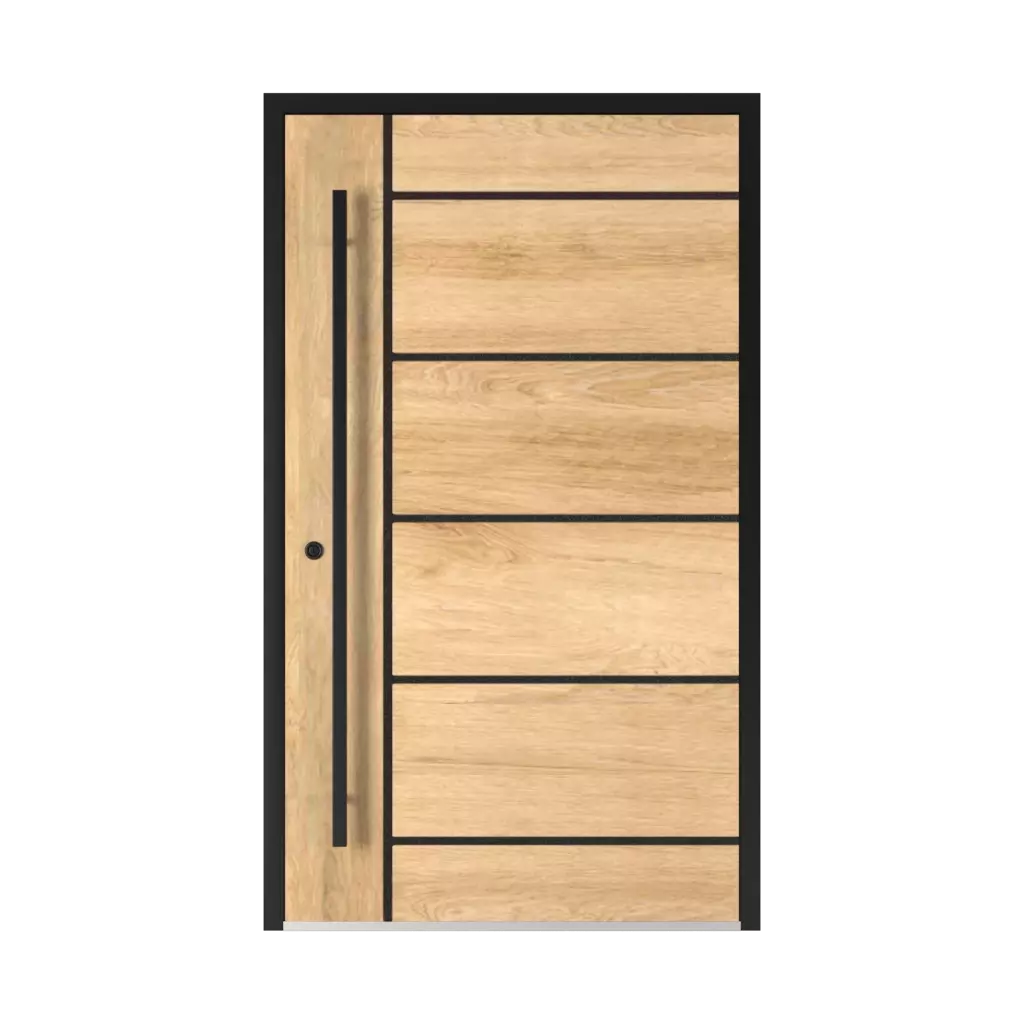 Perfect door Door image