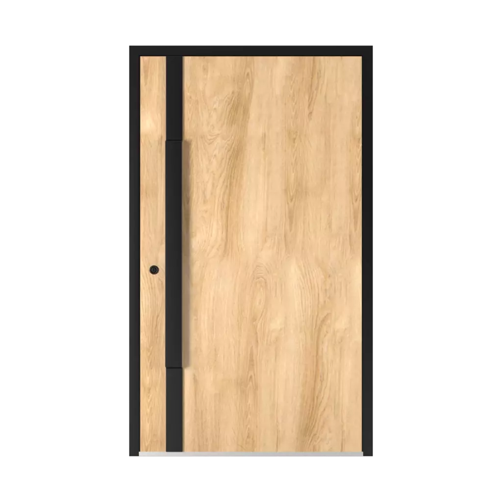 Perfect door Door image
